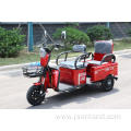 3 wheel fat big tire cargo electric tricycle